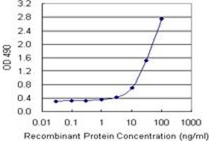 Sandwich ELISA detection sensitivity ranging from 30 ng/mL to 100 ng/mL. (TNF (Humain) Matched Antibody Pair)