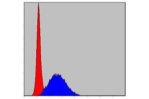 Flow cytometric analysis of Hela cells using MCM2 mouse mAb (blue) and negative control (red).