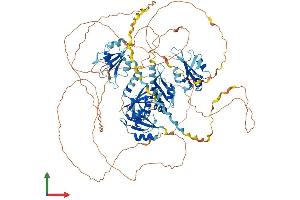AlphaFold protein structure predicition of Mouse Recombinant Rbm12 Protein, UniprotID Q8R4X3