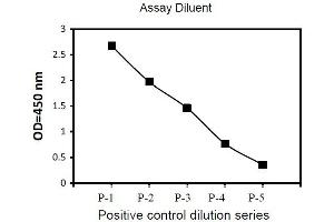Image no. 3 for Spleen tyrosine Kinase (SYK) ELISA Kit (ABIN1981728)