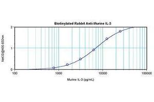 anti-Interleukin 3 (IL-3) antibody (Biotin)
