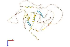 AlphaFold protein structure predicition of Human Recombinant FAM222A Protein, UniprotID Q5U5X8