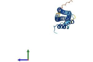 AlphaFold protein structure predicition of Human Recombinant CINP Protein, UniprotID Q9BW66
