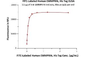 Immobilized AIN Antibody, Mouse IgG1 at 5 μg/mL (100 μL/well) can bind Fed Human EMMPRIN, His Tag (ABIN6973044) with a linear range of 0. (CD147 Protein (AA 22-205) (His tag,FITC))