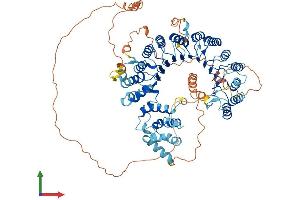 AlphaFold protein structure predicition of Mouse Recombinant Lrrc41 Protein, UniprotID Q8K1C9