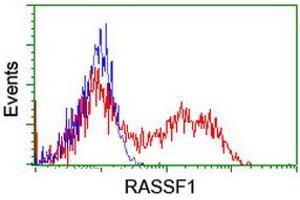 HEK293T cells transfected with either RC213525 overexpress plasmid (Red) or empty vector control plasmid (Blue) were immunostained by anti-RASSF1 antibody (ABIN2454291), and then analyzed by flow cytometry. (RASSF1 anticorps  (AA 1-341))