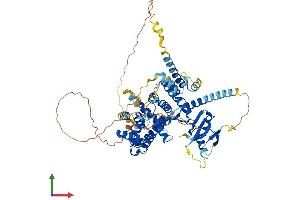 AlphaFold protein structure predicition of Human Recombinant ARHGAP18 Protein, UniprotID Q8N392