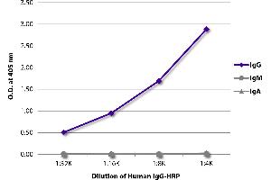 ELISA plate was coated with Goat Anti-Human IgG-UNLB was captured and quantified.