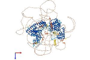 AlphaFold protein structure predicition of Human Recombinant TUT4 Protein, UniprotID Q5TAX3