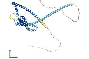 AlphaFold protein structure predicition of Human Recombinant KCNK2 Protein, UniprotID O95069