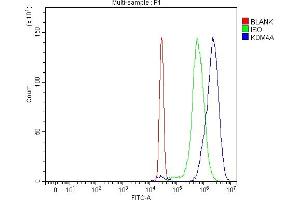 Flow Cytometry analysis of HepG2 cells using anti-JHDM3A/JMJD2A/KDM4A antibody (ABIN7601534). (KDM4A anticorps  (AA 379-1064))