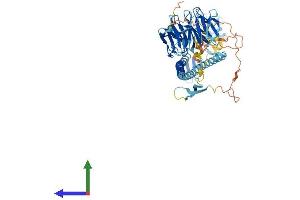 AlphaFold protein structure predicition of Mouse Recombinant Trim32 Protein, UniprotID Q8CH72