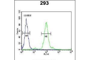 Flow cytometric analysis of 293 cells (right histogram) compared to a negative control cell (left histogram).