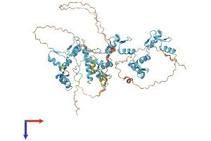 AlphaFold protein structure predicition of Human Recombinant ZNF264 Protein, UniprotID O43296