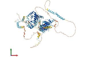AlphaFold protein structure predicition of Human Recombinant DDX54 Protein, UniprotID Q8TDD1