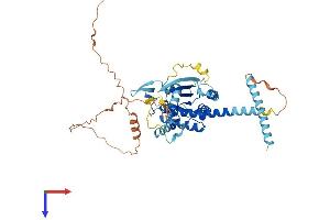 AlphaFold protein structure predicition of Human Recombinant SEPTIN4 Protein, UniprotID O43236