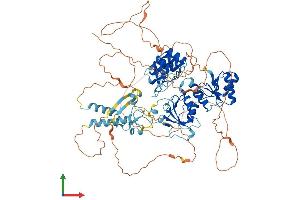 AlphaFold protein structure predicition of Human Recombinant BARD1 Protein, UniprotID Q99728
