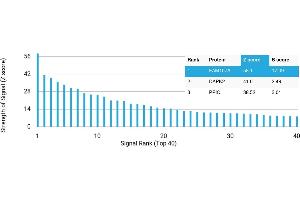 Protein Array (PAr) image for anti-Family with Sequence Similarity 107, Member A (FAM107A) antibody (ABIN7456105)