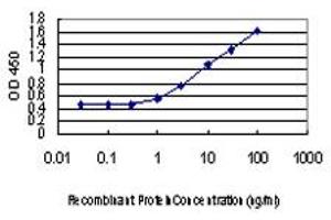 Detection limit for recombinant GST tagged IRF4 is approximately 0.