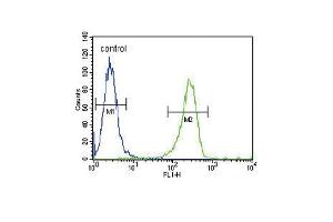 T Antibody (Center)?