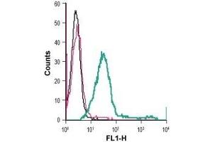 Cell surface detection of GPR65 in live intact human Jurkat T-cell leukemia cells: (black line) Cells.