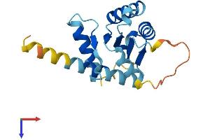 AlphaFold protein structure predicition of Human Recombinant GADD45A Protein, UniprotID P24522