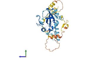 AlphaFold protein structure predicition of Human Recombinant ATG3 Protein, UniprotID Q9NT62