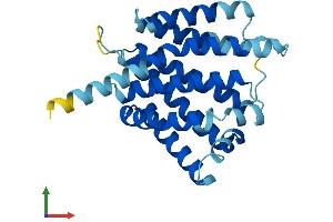 AlphaFold protein structure predicition of Mouse Recombinant Tmem101 Protein, UniprotID Q91VP7