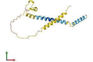 AlphaFold protein structure predicition of Human Recombinant FAM162A Protein, UniprotID Q96A26