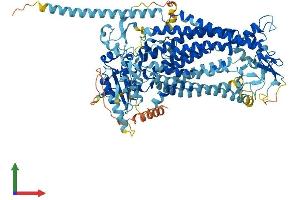 AlphaFold protein structure predicition of Human Recombinant ANO6 Protein, UniprotID Q4KMQ2