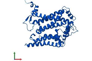 AlphaFold protein structure predicition of Human Recombinant MT-CYB Protein, UniprotID P00156