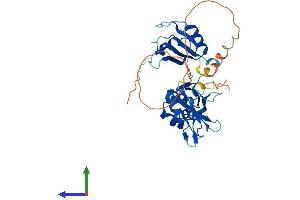 AlphaFold protein structure predicition of Mouse Recombinant Elavl3 Protein, UniprotID Q60900