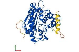 AlphaFold protein structure predicition of Human Recombinant CNOT8 Protein, UniprotID Q9UFF9