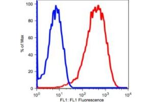 Image no. 2 for anti-Transferrin Receptor (p90, CD71) (TFRC) antibody (FITC) (ABIN2704332)