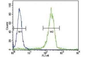 SOCS1 antibody flow cytometric analysis of WiDr cells (green) compared to a negative control (blue).