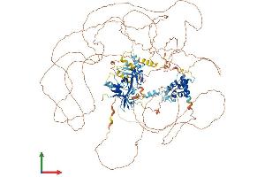 AlphaFold protein structure predicition of Human Recombinant ARID5B Protein, UniprotID Q14865
