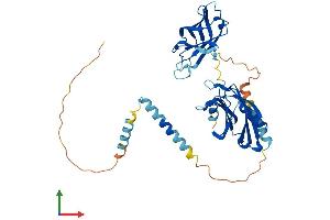 AlphaFold protein structure predicition of Mouse Recombinant Syt1 Protein, UniprotID P46096