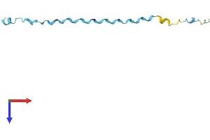 AlphaFold protein structure predicition of Human Recombinant SPRR2D Protein, UniprotID P22532