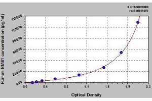 Typical standard curve (NME1 Kit ELISA)