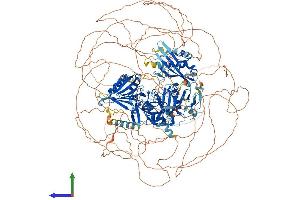 AlphaFold protein structure predicition of Human Recombinant ZFYVE16 Protein, UniprotID Q7Z3T8