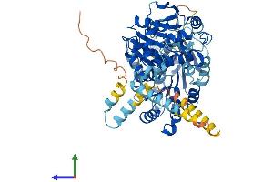 AlphaFold protein structure predicition of Mouse Recombinant Ddx55 Protein, UniprotID Q6ZPL9