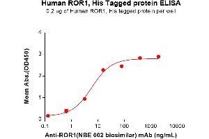 ELISA plate pre-coated by 2 μg/mL (100 μL/well) Human Protein, His Tag (ABIN6964103, ABIN7042461 and ABIN7042462) can bind Anti-(NBE 002 biosimilar) mAb in a linear range of 0.