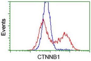 Image no. 10 for anti-Catenin (Cadherin-Associated Protein), beta 1, 88kDa (CTNNB1) antibody (ABIN1496889)