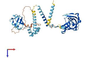 AlphaFold protein structure predicition of Mouse Recombinant Ddi2 Protein, UniprotID A2ADY9