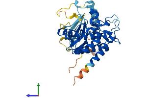 AlphaFold protein structure predicition of Mouse Recombinant Pbk Protein, UniprotID Q9JJ78