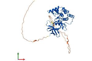 AlphaFold protein structure predicition of Mouse Recombinant Csnk1g2 Protein, UniprotID Q8BVP5