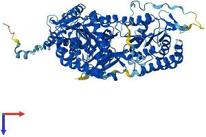 AlphaFold protein structure predicition of Human Recombinant ALDH16A1 Protein, UniprotID Q8IZ83