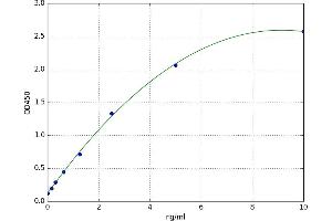Dual Specificity Phosphatase 1 (DUSP1) ELISA Kit