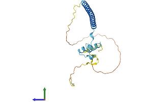 AlphaFold protein structure predicition of Mouse Recombinant Washc3 Protein, UniprotID Q9CR27