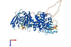 AlphaFold protein structure predicition of Human Recombinant SYK Protein, UniprotID P43405